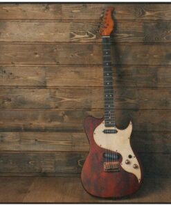 Vintage Electric Guitar on Wooden Area Rug