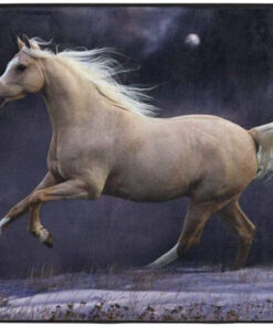Horse Themed Area Rug
