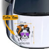 Custom Momster Car Decals