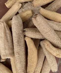 Organic Loofah Sponge