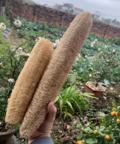 Organic Loofah Sponge