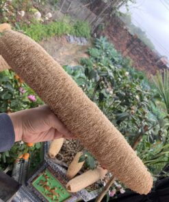 Organic Loofah Sponge