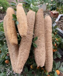 Organic Loofah Sponge