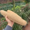 Organic Loofah Sponge