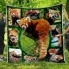 3D Red Panda In The Forest Quilt Bedding Set Blanket