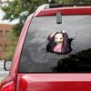 Anime Car Decals
