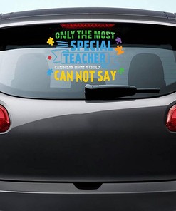 Car Decals for the Special Teacher - Vinyl Autistic Love Support Decal for Car Doors and Windows