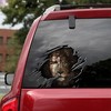 Jesus Lion Sticker Vinyl Automotive Decal Christian Religious Car Truck Door Window Stickers