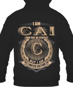 It's CAI Thing You Wouldn't Understand D12