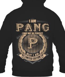 It's PANG Thing You Wouldn't Understand D12