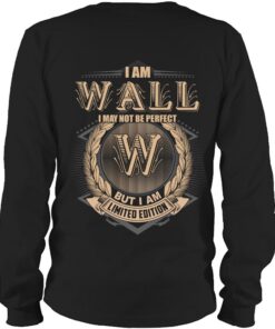 It's WALL Thing You Wouldn't Understand D12