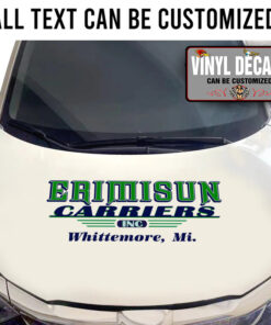 Personalized Pinstriping Lettering For Truck Vinyl Sticker 10709