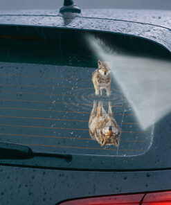 Wolf Car Decal - Wolf Stickers, Car Decals for Vehicles - Weatherproof Wild Animal Vinyl, Calcomanías para Auto, Truck, Window, Laptop