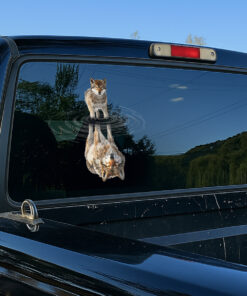 Wolf Car Decal - Wolf Stickers, Car Decals for Vehicles - Weatherproof Wild Animal Vinyl, Calcomanías para Auto, Truck, Window, Laptop